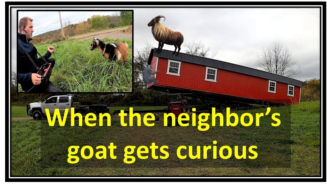14x50 Shed Delivery To A GOAT.