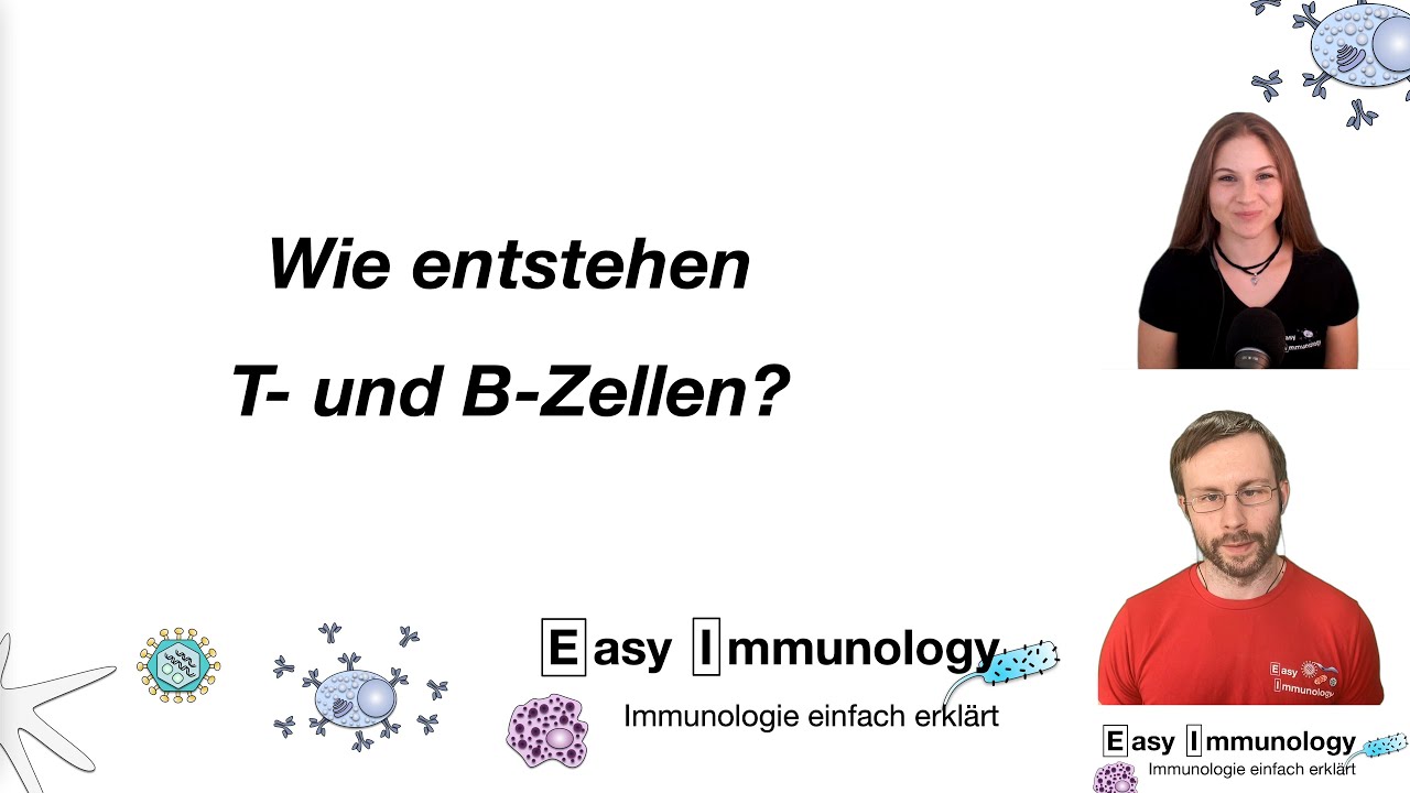 Season 2 - Folge 4: Wie entstehen T- und B-Zellen