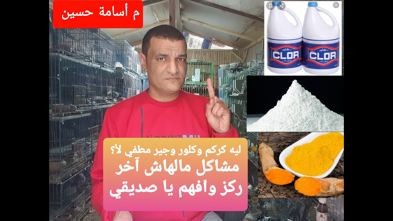 أضرار قتلة الطيور وبالذات الحمام كركم وكلور وجير مطفي م أسامة حسين