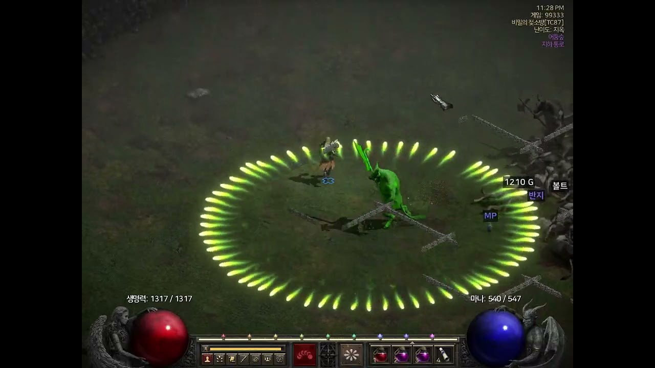 10기 노수수 독넼 카우