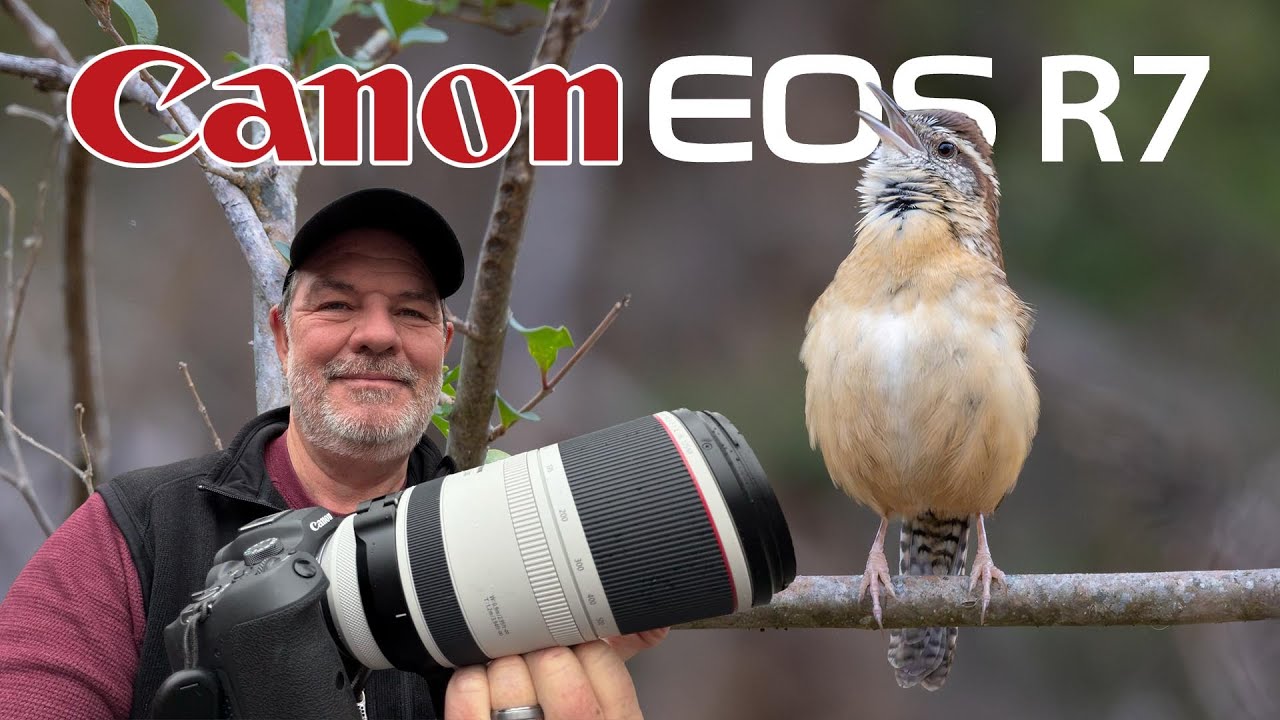 Фотосъемка птиц на Canon R7 с объективом 100-500 (также немного пейзажной фотографии с объективом...