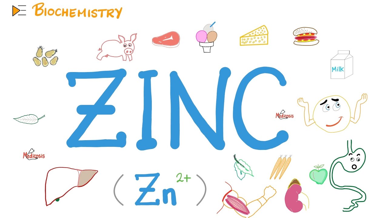 Your Body Needs Zinc (Zn)