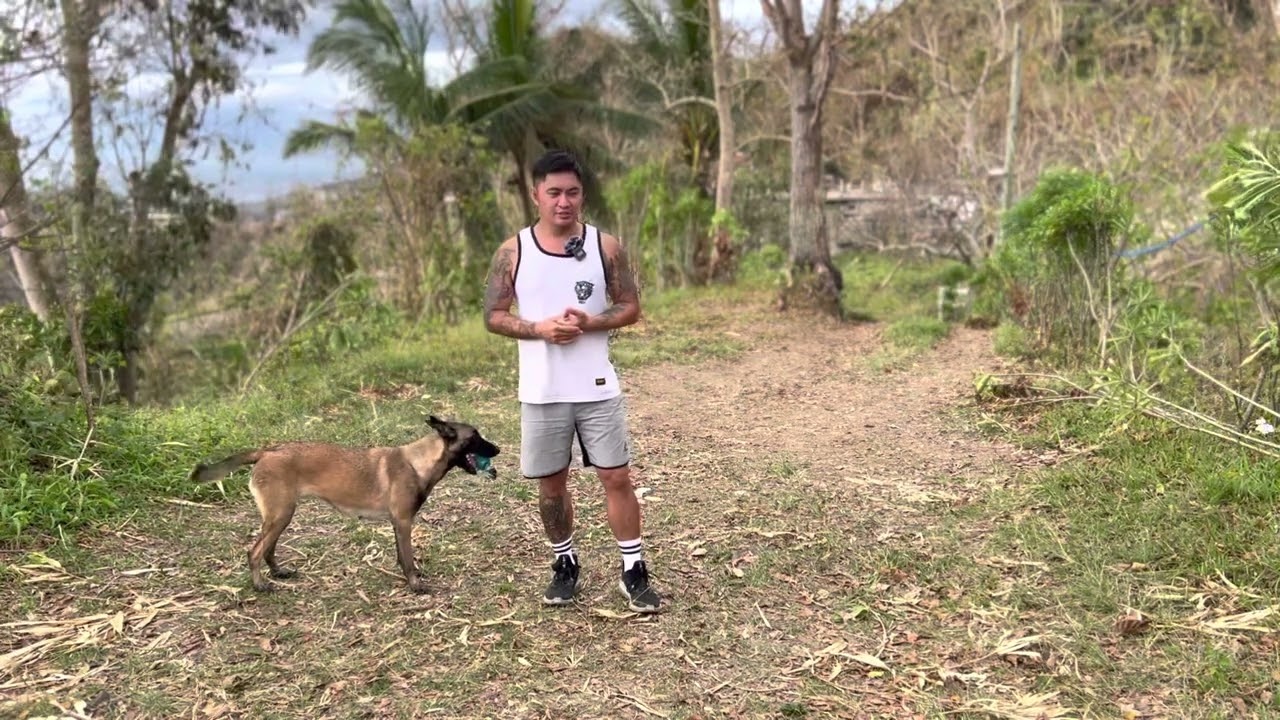 How To Condition Your Dog To Loud Sounds (Late Upload For New Year)