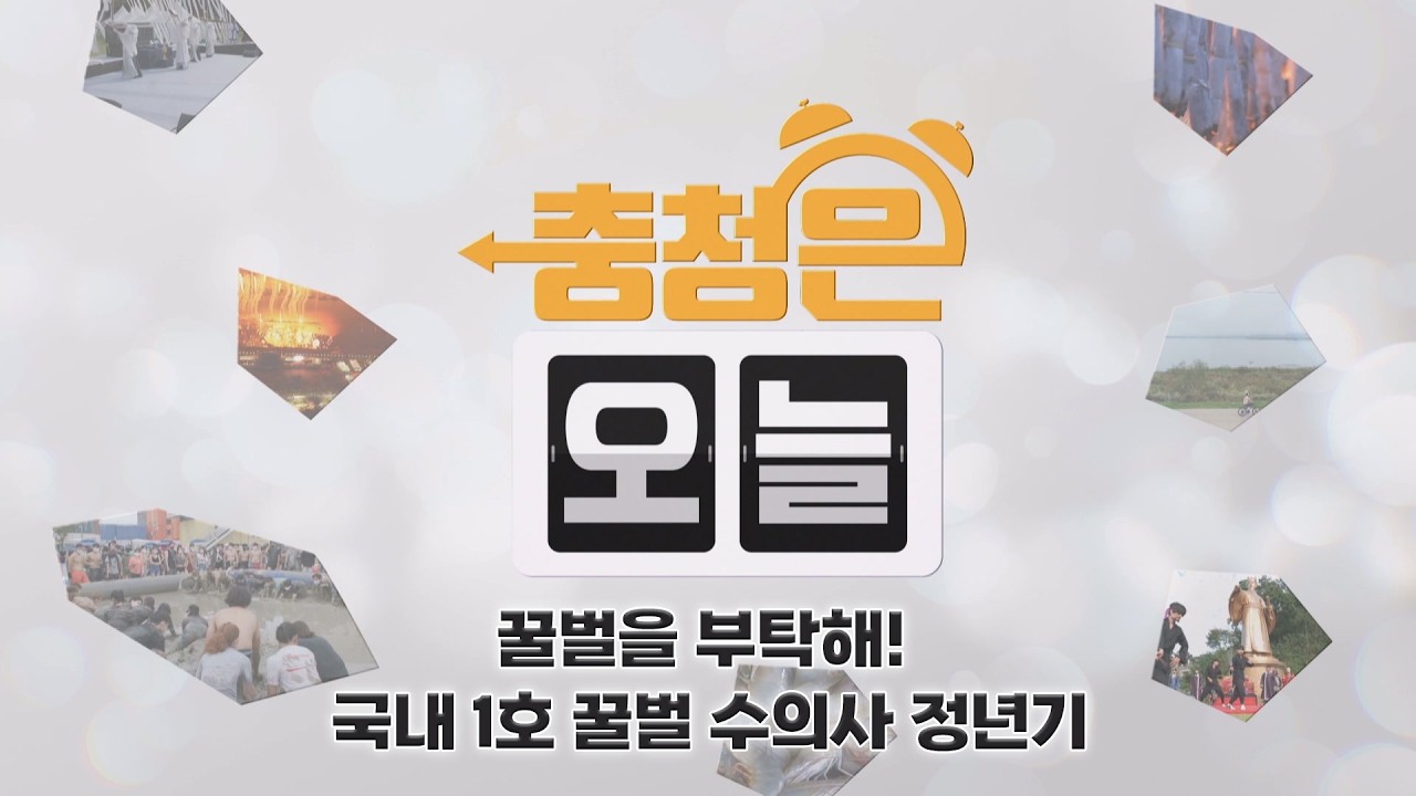 [오늘의 직업] 꿀벌을 부탁해! - 국내 1호 꿀벌 수의사 정년기 / KBS대전 2026009 방송