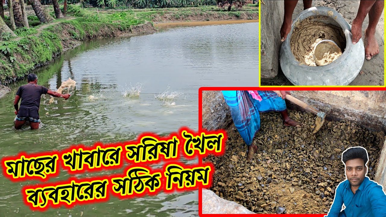 মাছের খাবারে সরিষার খৈল ব্যবহারের সঠিক নিয়ম জেনে নিন! Mustard Oil Cake in Fish Feed -July 2025