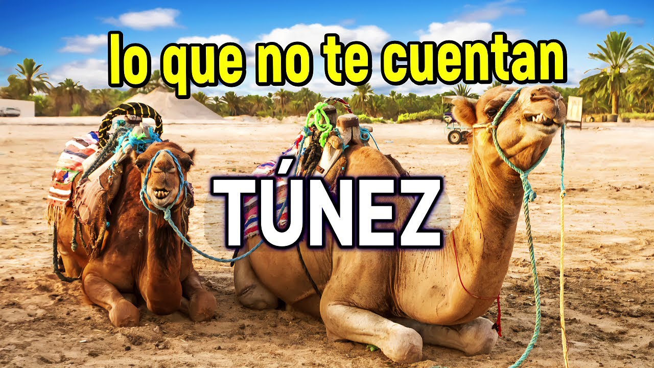Túnez: qué esperar de un circuito por el país