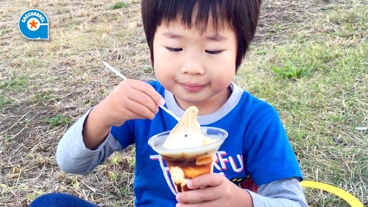 電車を見ながらミニストップのプリンパフェを食べました【がっちゃん5歳】