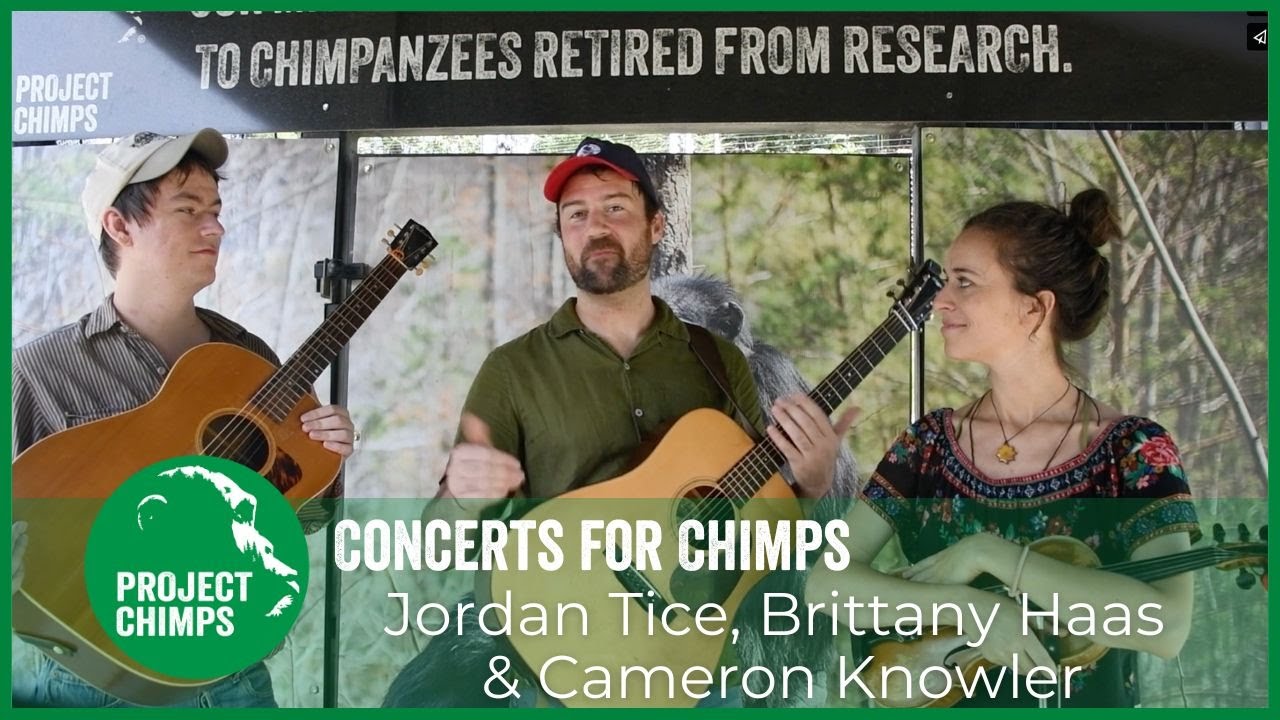 Concert for Chimps: Jordan Tice