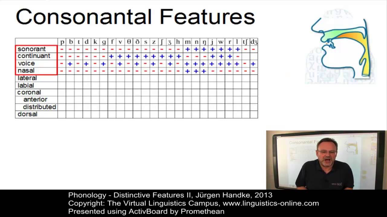 PHY104 - Distinctive Features II
