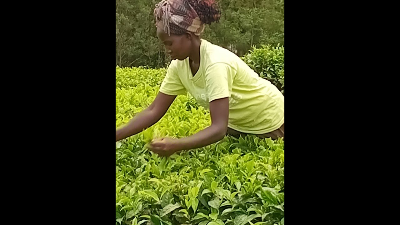 ESTER EN BIBLE BY JOAN CHERUIYOT