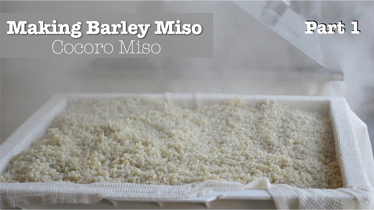 Making Japanese Barley Miso - Made from Scratch - in Nagashima, Japan