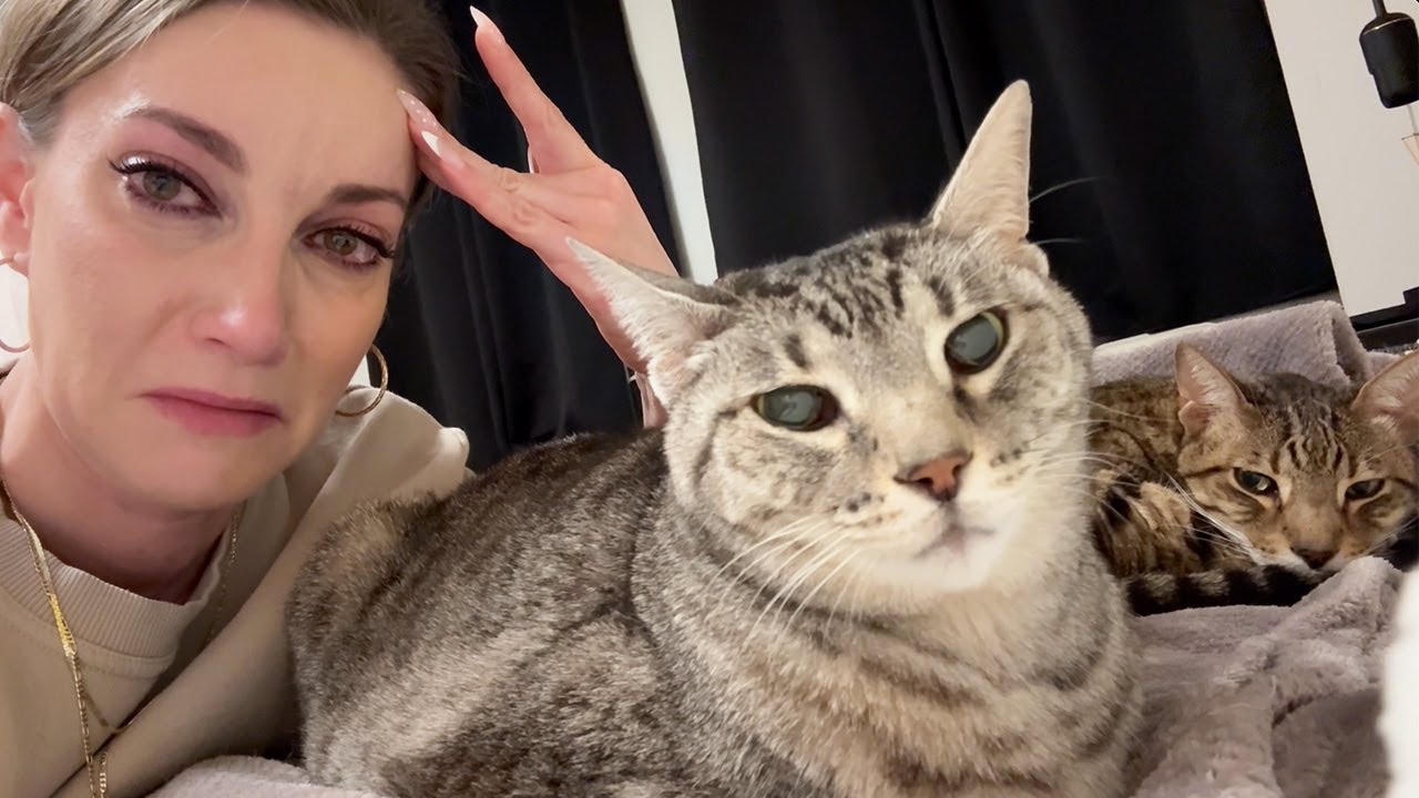 ЧТО-ТО НЕ ТАК!