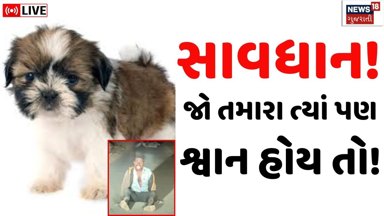 Palanpur Dog Bite Case Live | શ્વાનના લીધે યુવકને મોત મળ્યું | Rabies | Banaskantha | Street Dog