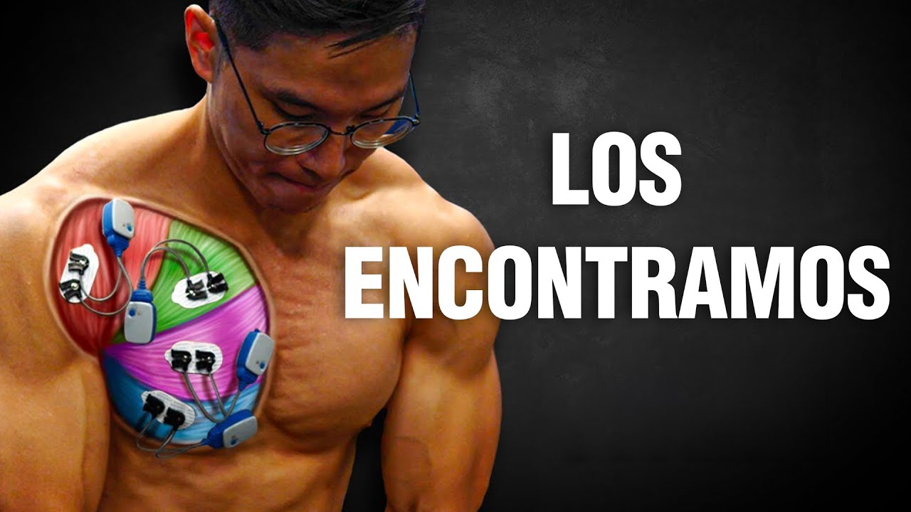 Probamos 16 Ejercicios para Pecho, ¡Descubre los Mejores para Crecer! 💪🔥