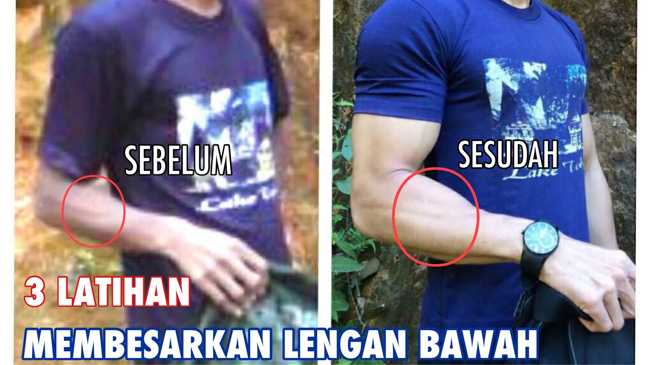 3 CARA MEMBESARKAN OTOT LENGAN BAWAH
