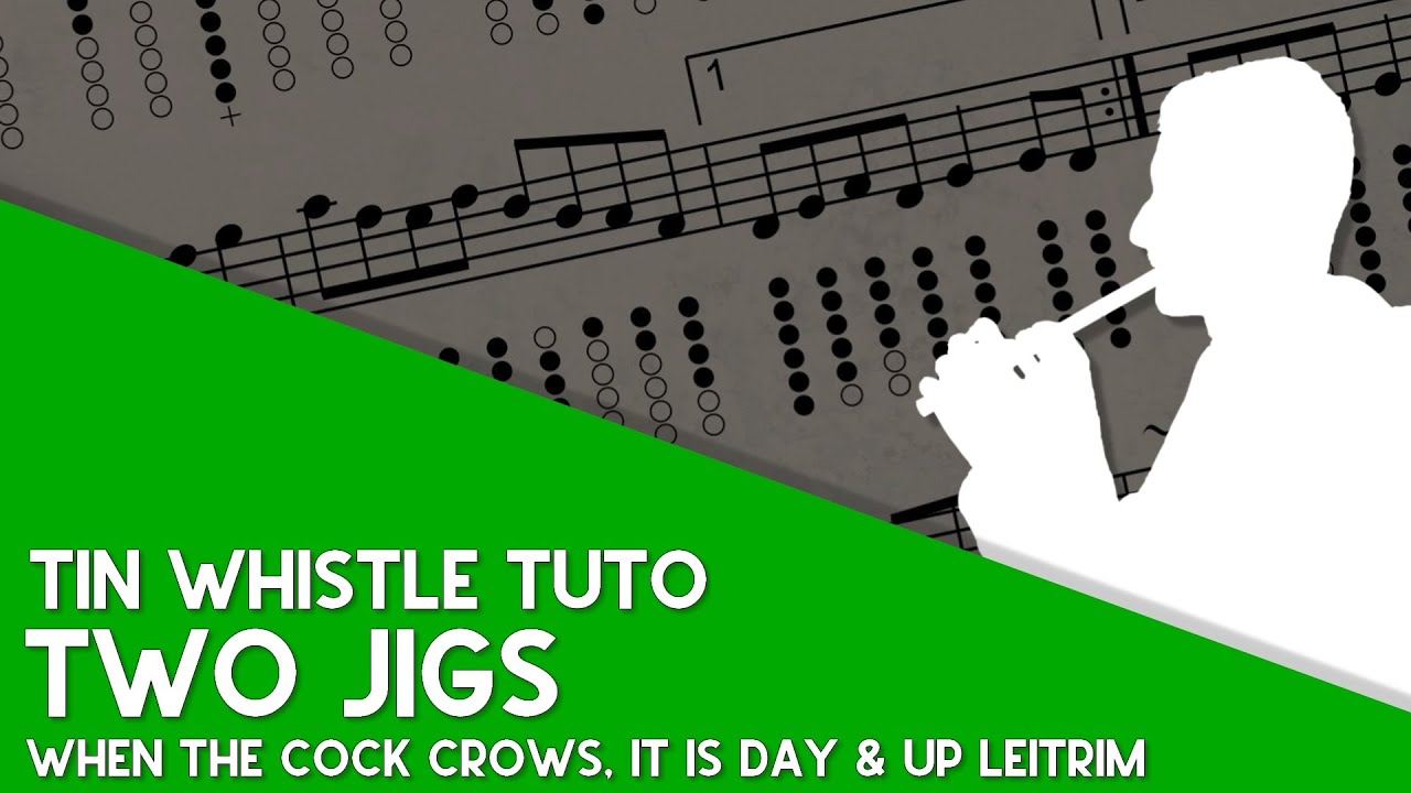 Tin Whistle Tuto - When The Cock Crows, It Is Day & Up Leitrim Jigs (Tempo 90)