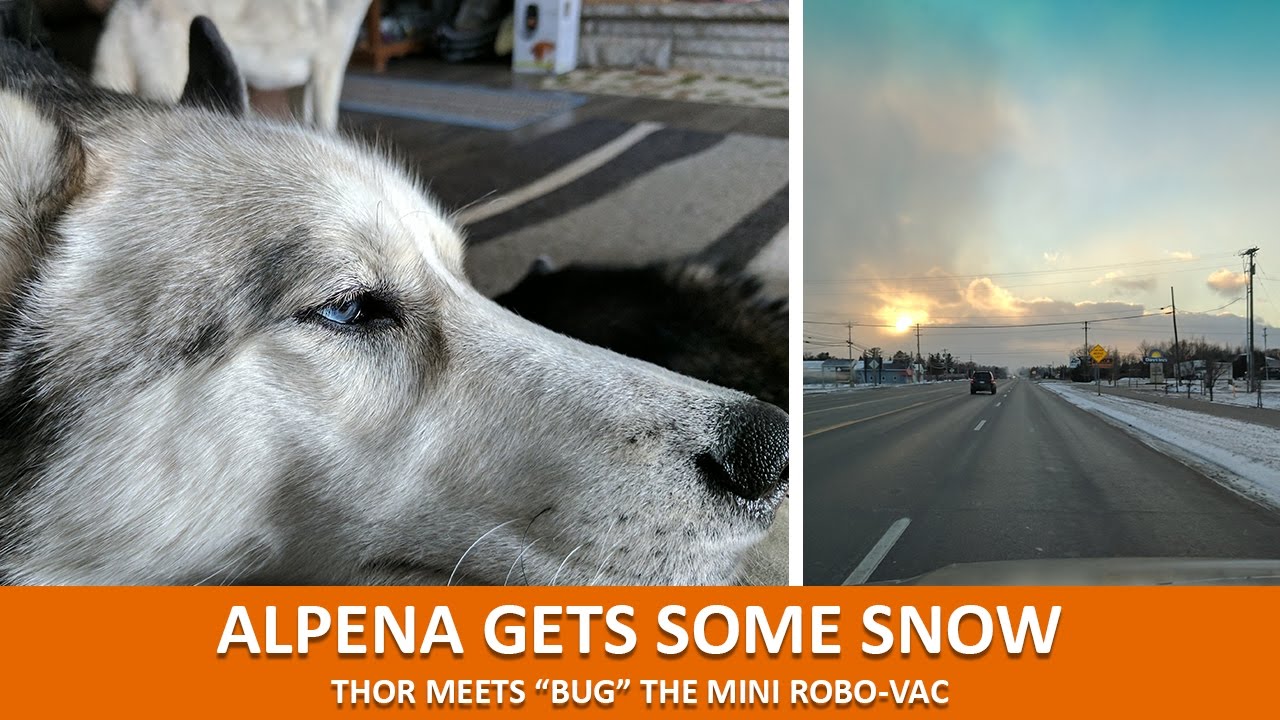 ALPENA GOT SOME SNOW | Oakley plays with Thor & Thor meets Bug the Robo-Vac!