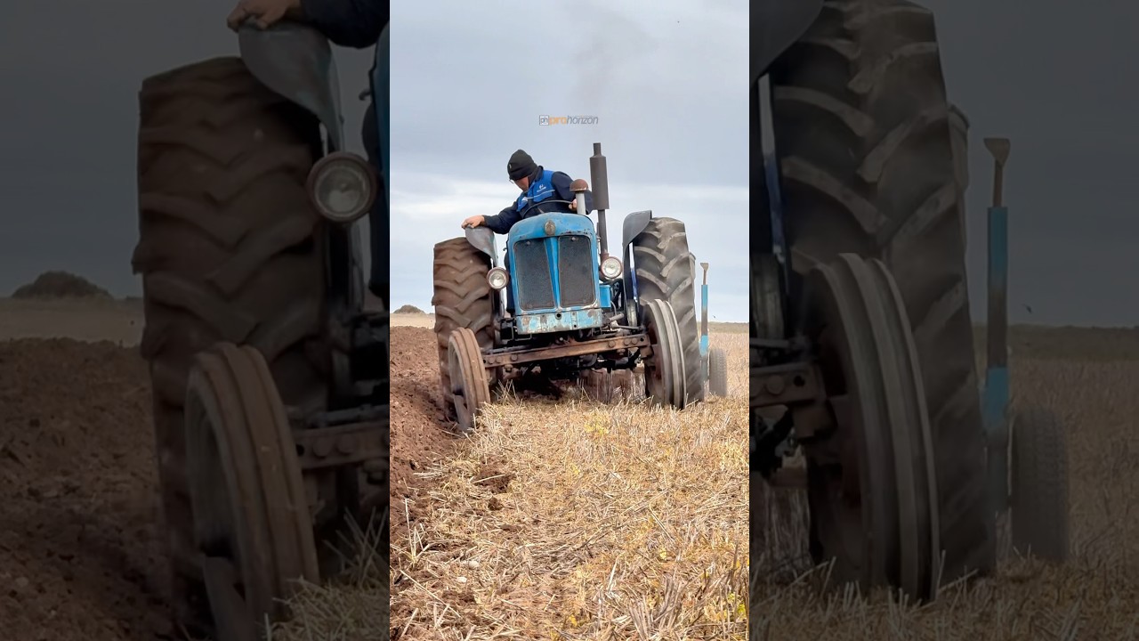 Fordson Major tractor ploughing #ploughing
