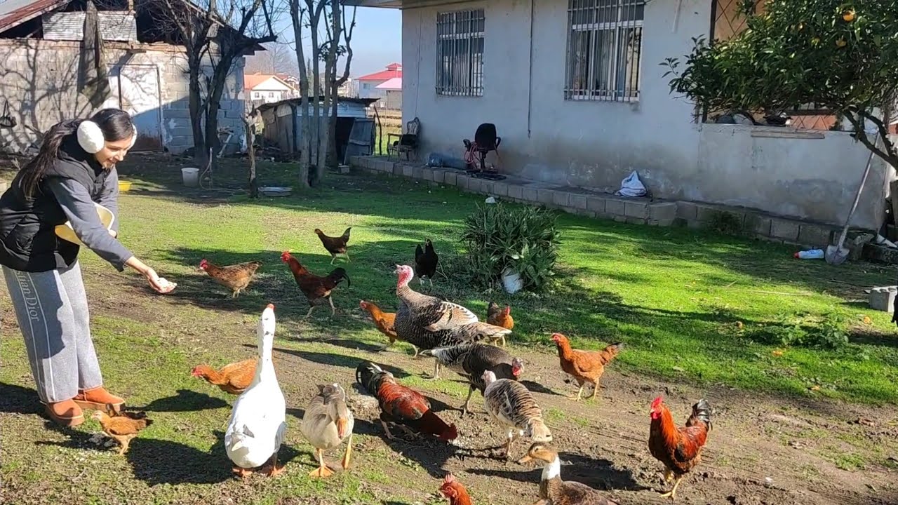 Природная терапия 💚🍃 Прогулки, кормление птиц и успокаивающие звуки