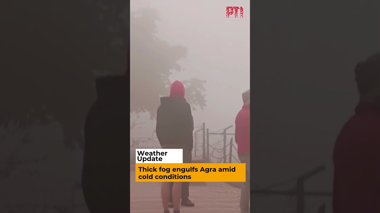 Thick fog engulfs Agra amid cold conditions