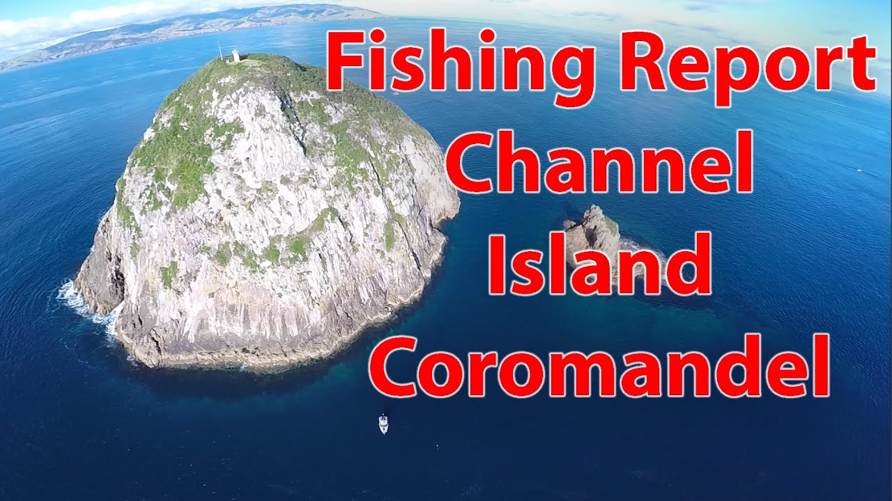 Fishing Action Report Channel Island NZ - Drones and Snapper