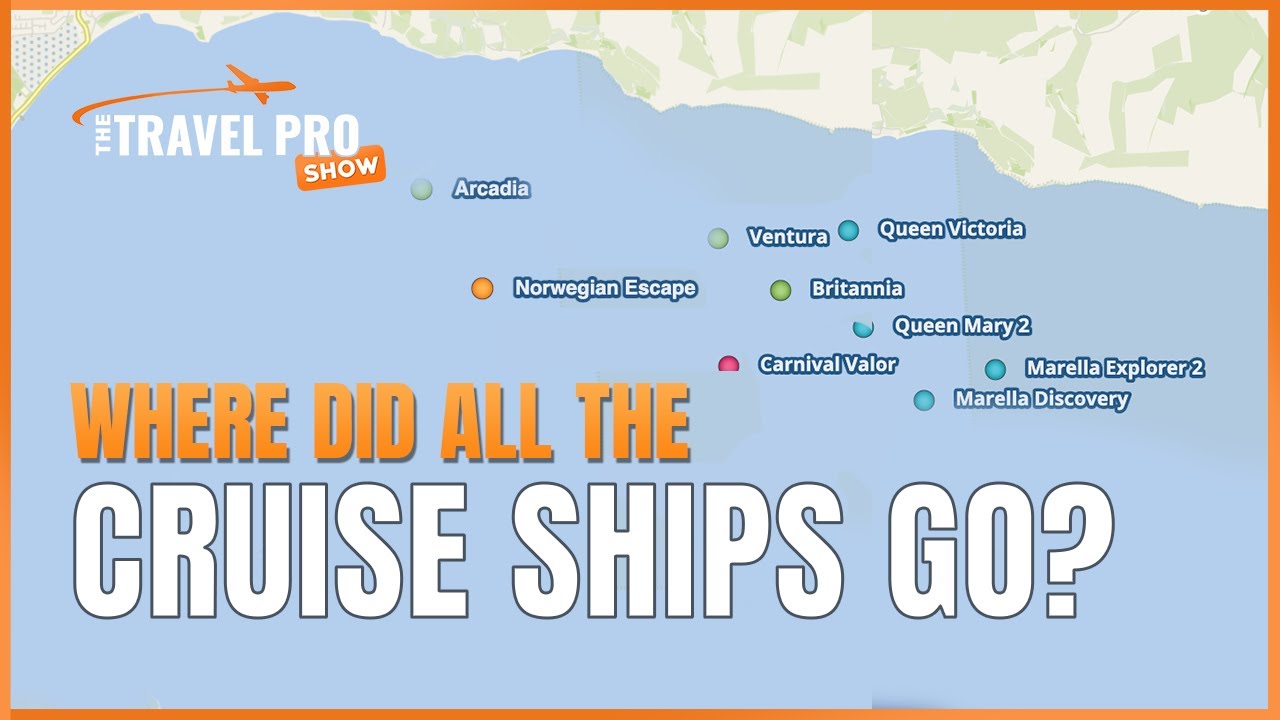 Where Did All The Cruise Ships Go During the Pandemic?!
