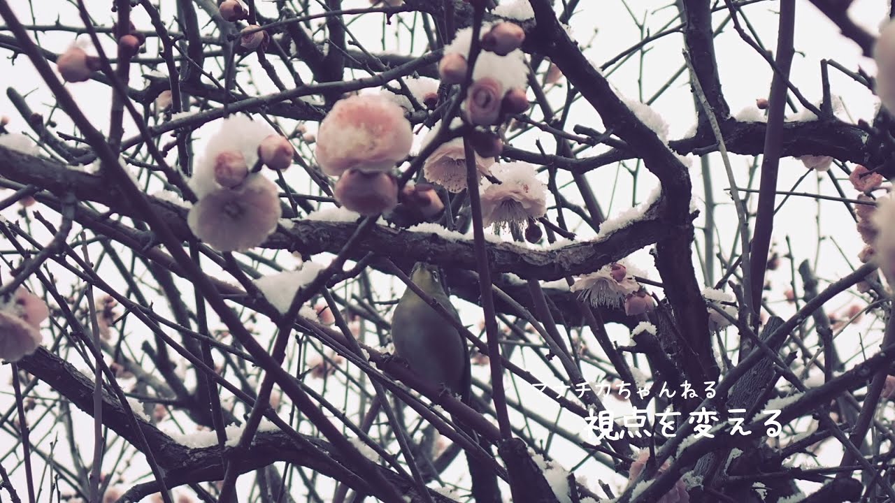 視点を変える