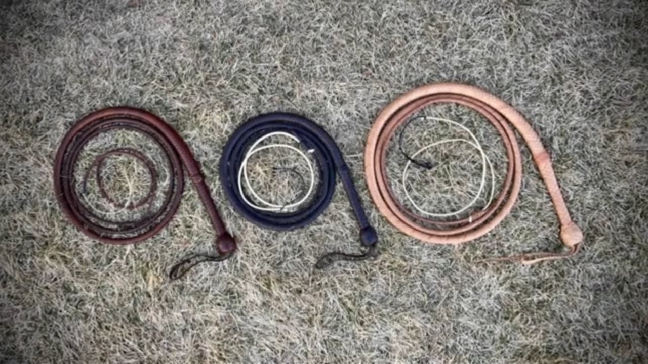 More Indiana Jones Bullwhips!