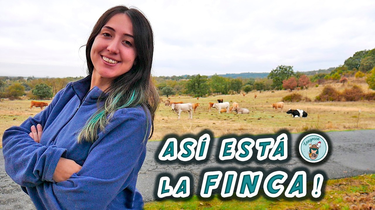 El MANANTIAL de AGUA REVIVE en la FINCA! 🍁 El Terreno tras la Lluvia