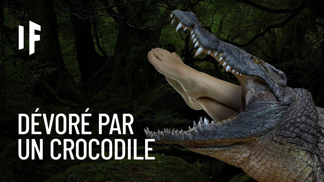 Et si un crocodile vous avalait ?