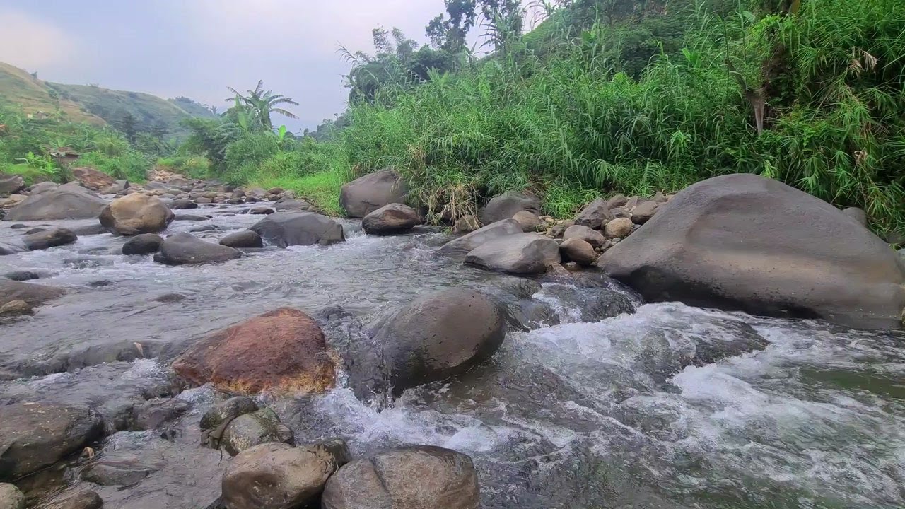 Relaxing Moonlit Water Flow – Peaceful River Sounds for Sleep and Calmness
