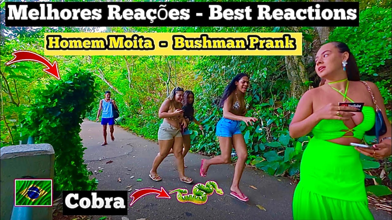 Pegadinha:  Melhores Sustos e Reações | Ultimate Best of Bushman Prank Compilation 2025