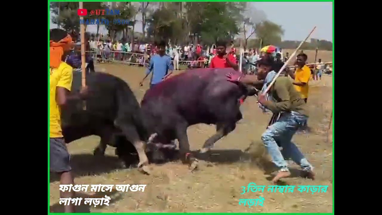 জাকির বোন তিন নম্বর