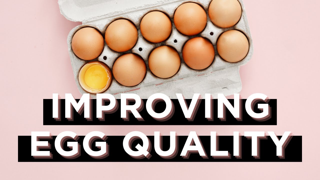 Improve Egg Quality Naturally {EXPERT TIPS}