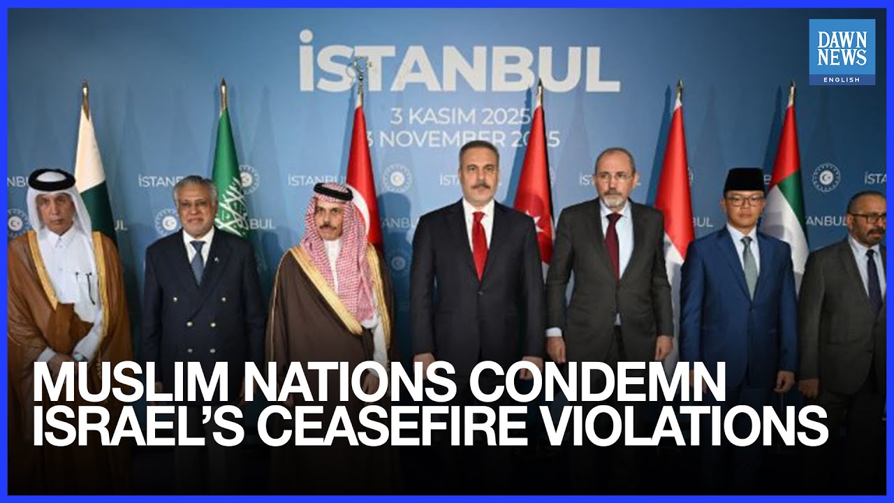 8 Muslim Nations Assert Israel&rsquo;s Ceasefire Violations Risk Undermining efforts for stability in Gaza