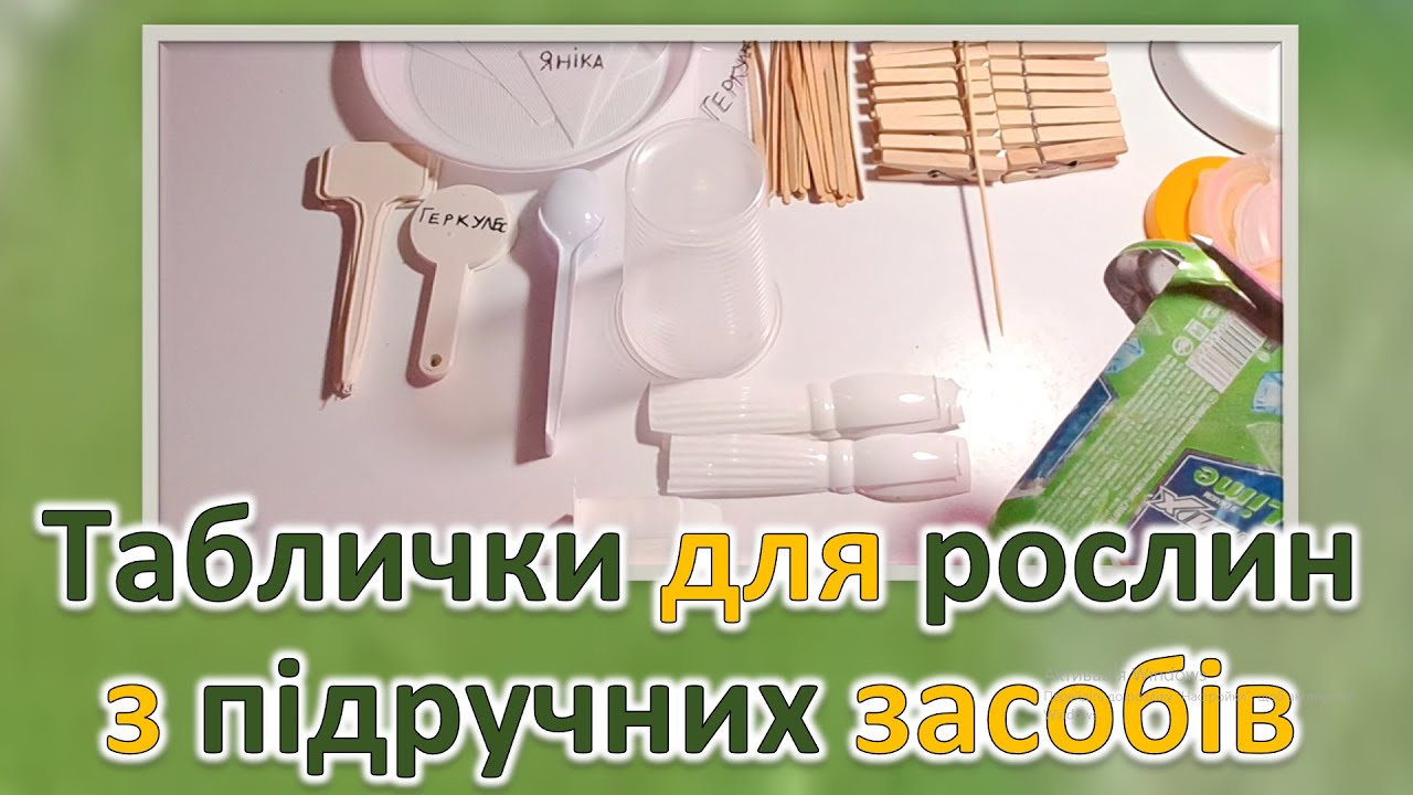 Таблички для рослин з підручних засобів