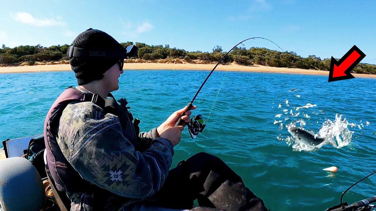 This Spot Has BIG Fish Everywhere!!