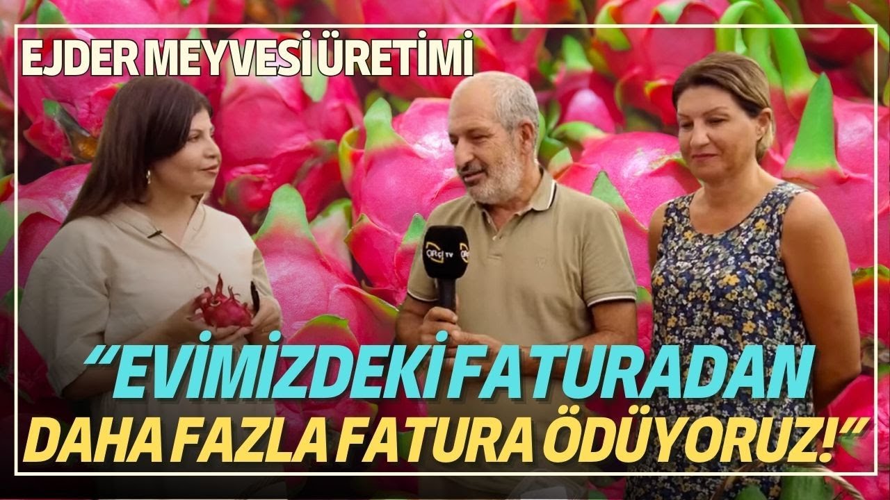 Ejder Meyvesi Üretimi / Evimizdeki Faturadan Daha Fazla Fatura Ödüyoruz!