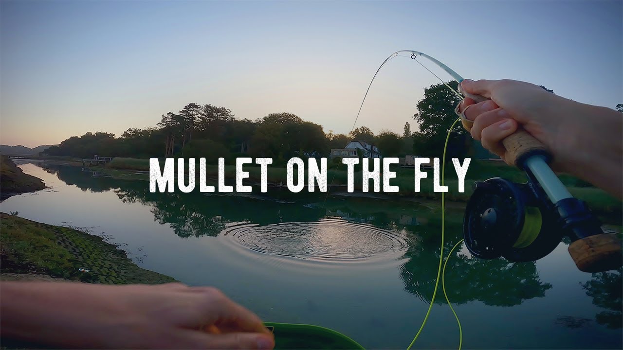 Saltwater Fly Fishing UK | Fly Fishing For Mullet | Mullet On The Fly