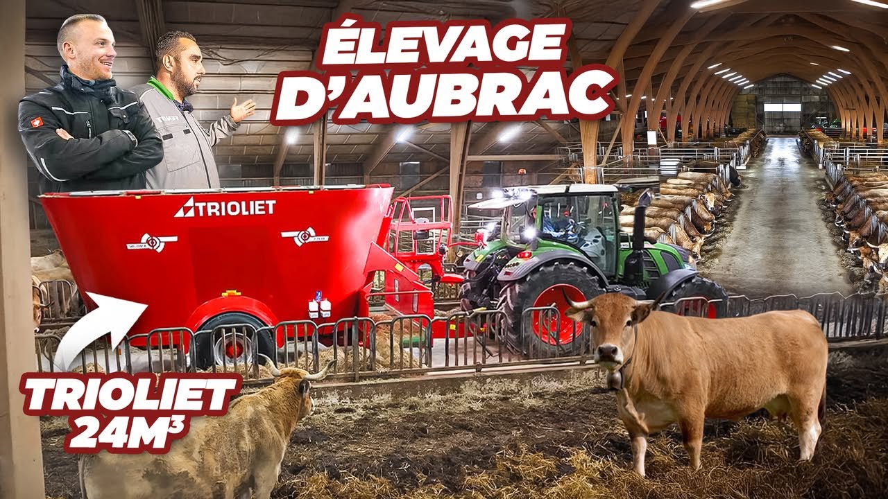 🐄 FERME MAGNIFIQUE en AUBRAC- MÉLANGEUSE TRIOLIET 24m3 ! 💪🏻