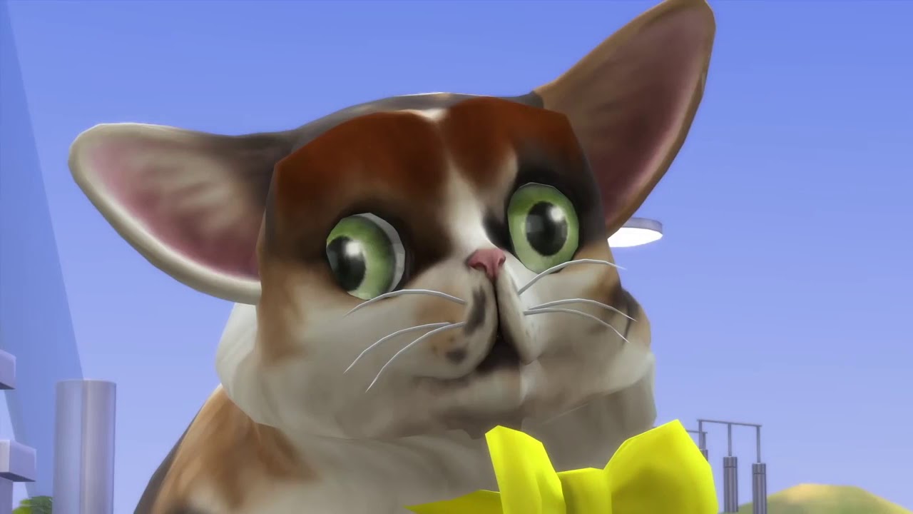 GrayStillPlays but it's only the cats (Spleens and Tonsils compilation)