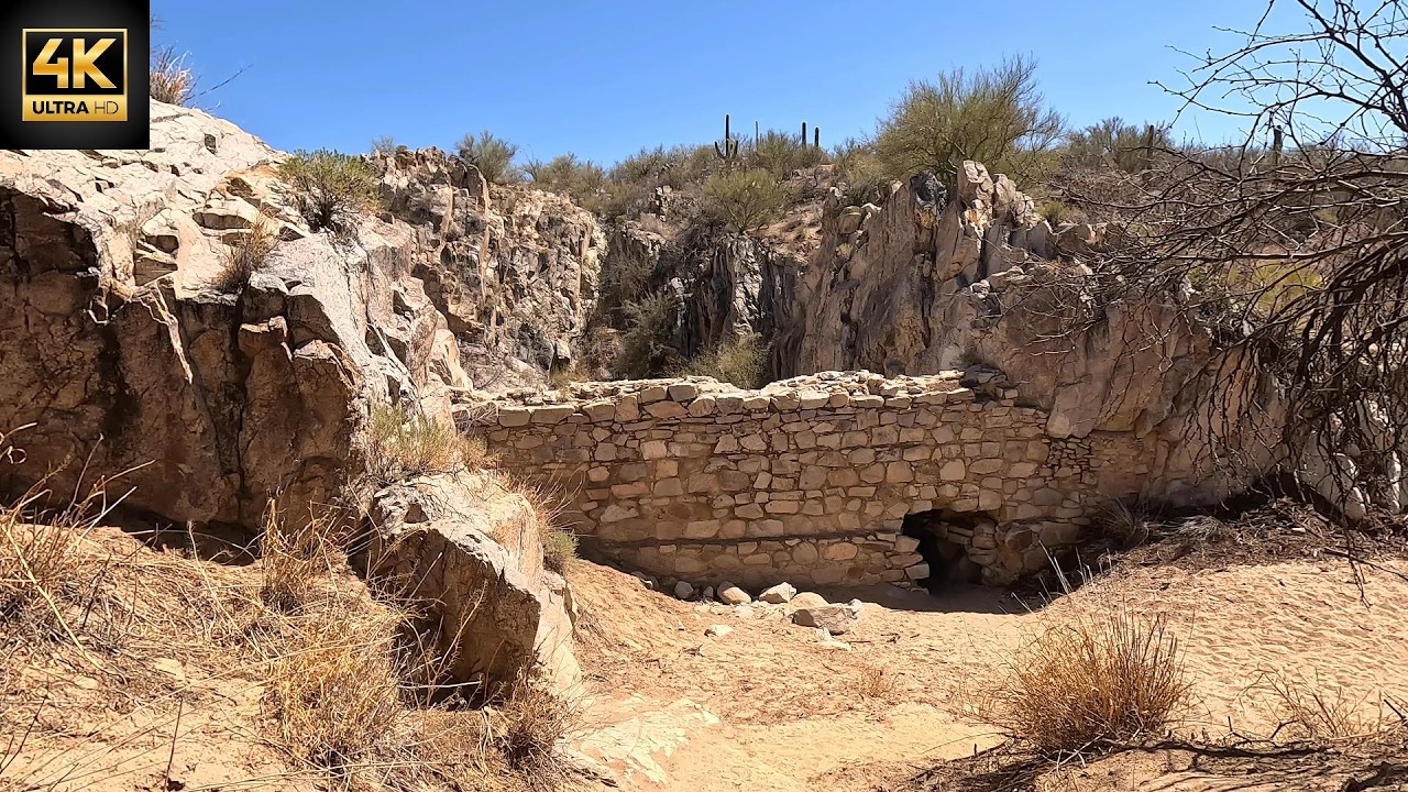 The Bees of Honeybee Canyon