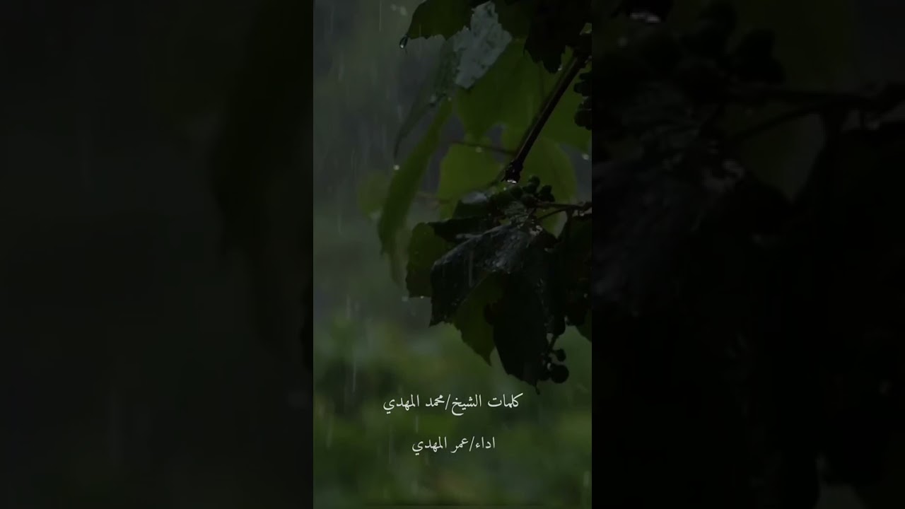 مرثية الشيخ عبدالقادر الشيباني رحمة الله عليه كلمات الشيخ محمد المهدي   أداء عمر المهدي