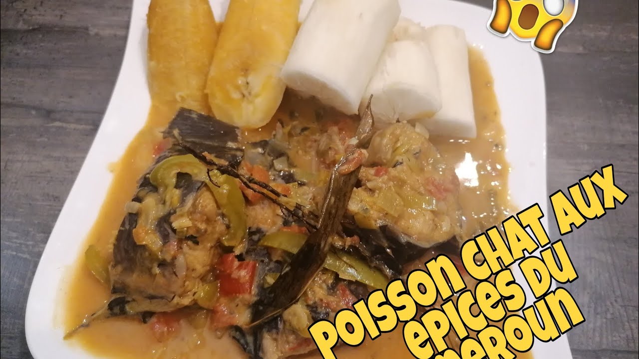 PÉPÉ SOUPE DE POISSON CHAT AUX ÉPICES DU CAMEROUN|| cuisine rapide (Recettes & Astuces 237)