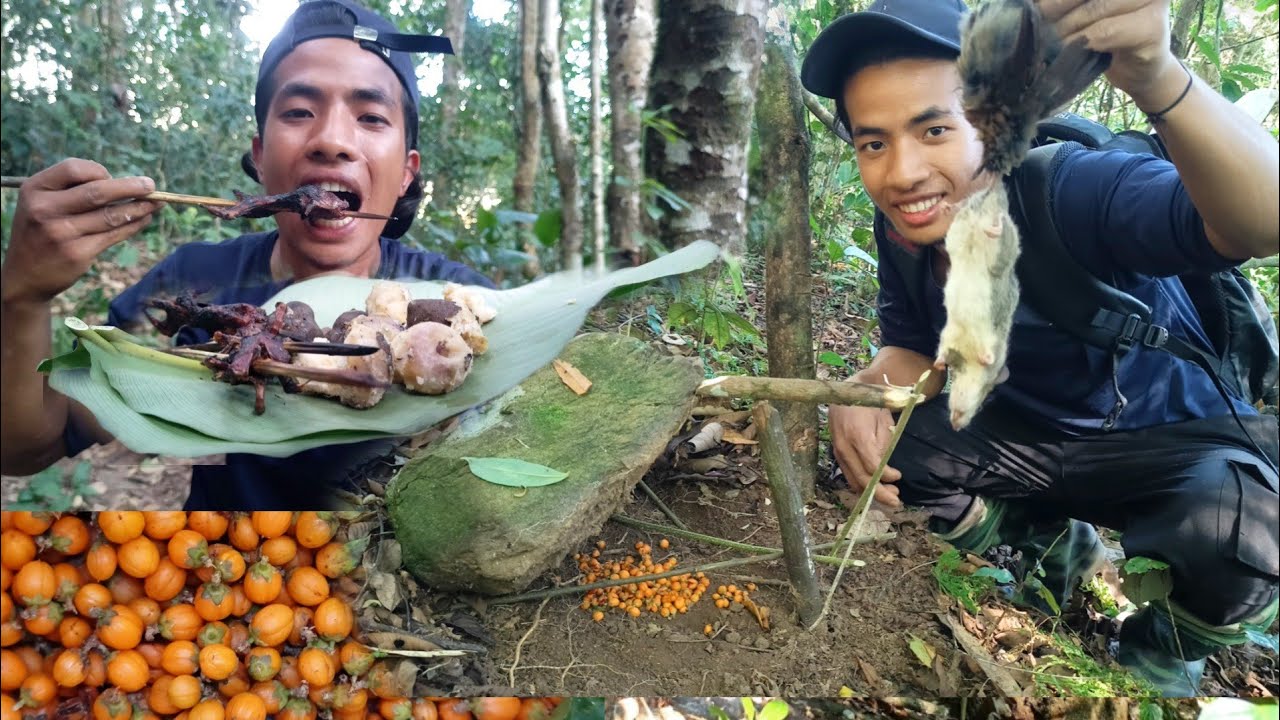 Hunting Wild Rats Using Traditional Rat Traps (EDHA).