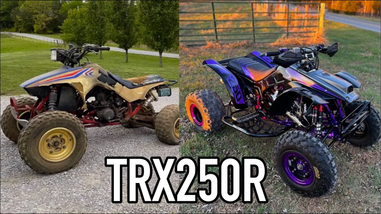 AMAZING TRX250R Build Walkaround + Story