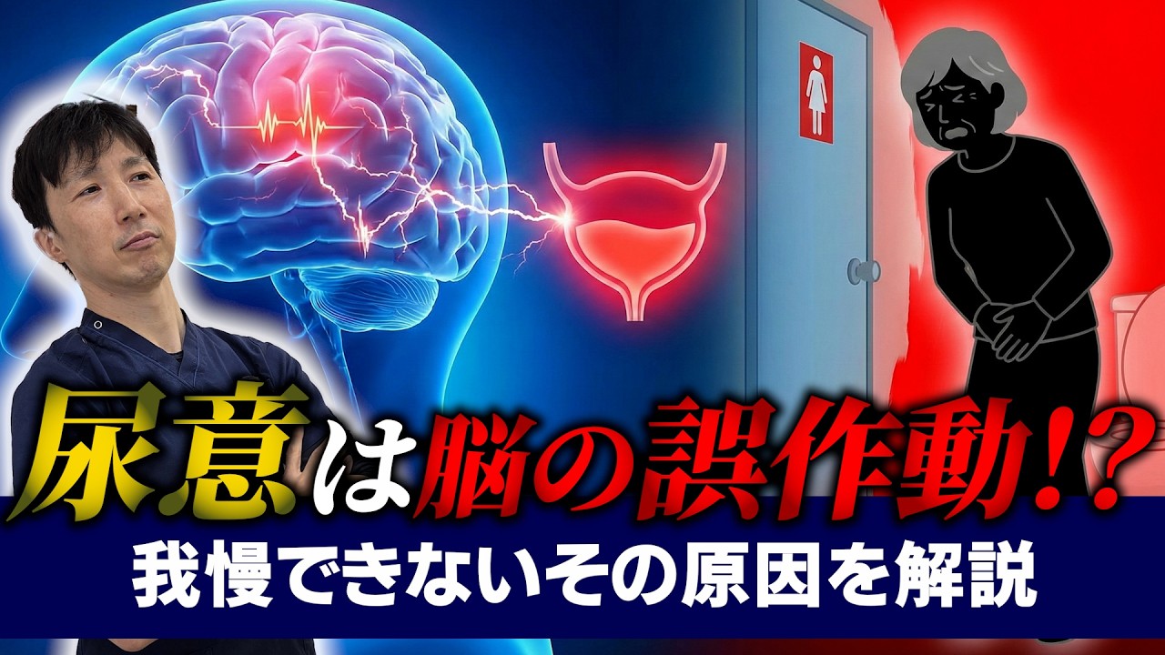 【1000万人が悩む過活動膀胱】薬で治る最新治療と即座にできるセルフチェックを泌尿器科医が解説します！