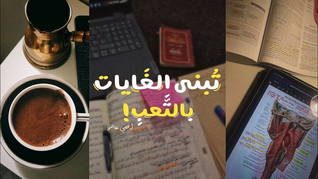 مشكلة النسيان | كيف تتذكر كل ما تذاكره ؟