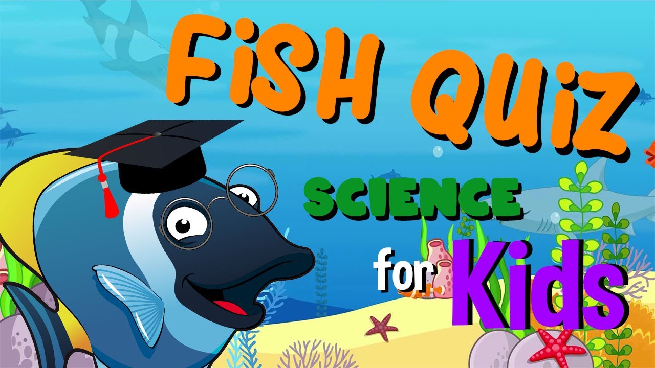 Fish Quiz | Science for Kids