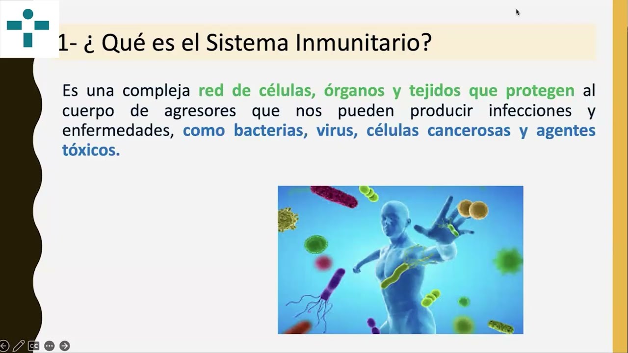 Cuidar per enfortir la immunitat: claus infermeres per a un sistema immune en equilibri | Part 1